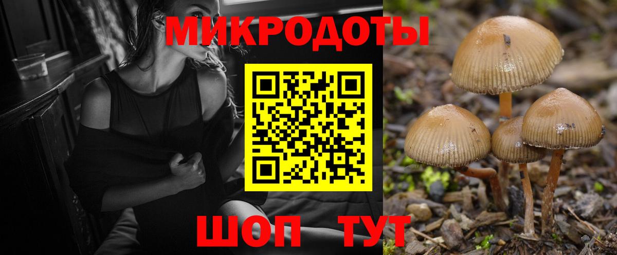 Псилоцибиновые грибы прущие грибы Новокуйбышевск