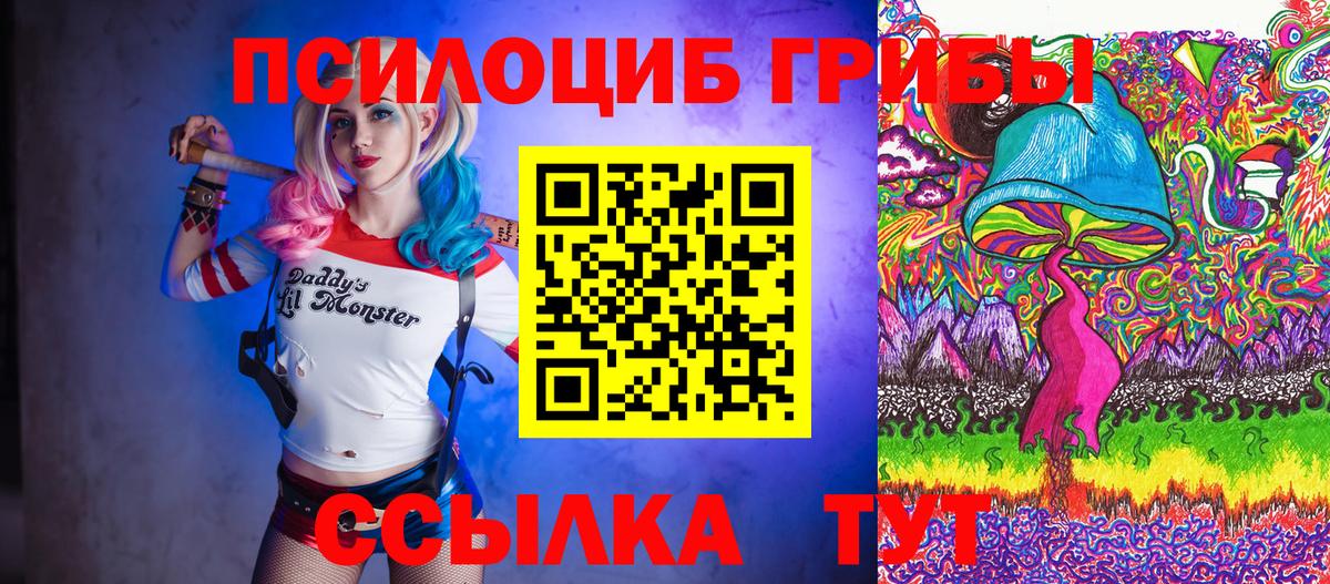 Галлюциногенные грибы прущие грибы  где найти наркотики  Новокуйбышевск  Вход с VPN 